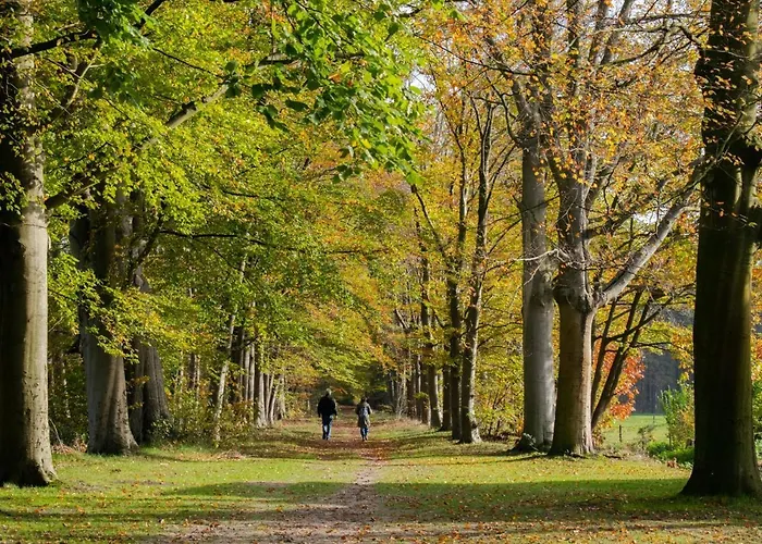 Appartement De Jager En De Gelagkamers